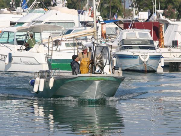 Oh! Campings La Brise Saintes-Maries-de-la-Mer Buitenkant foto